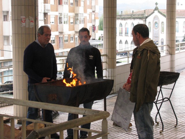 Magusto em Vila Real